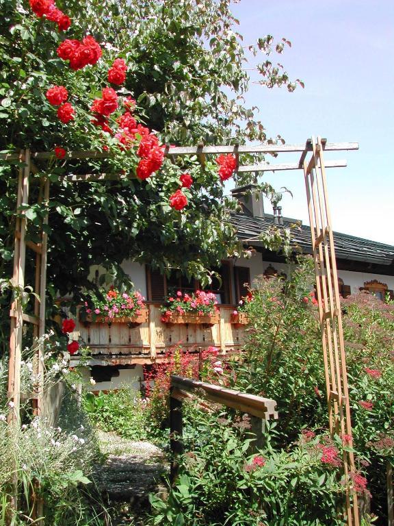 Haus Hubertus Daire Reit im Winkl Dış mekan fotoğraf